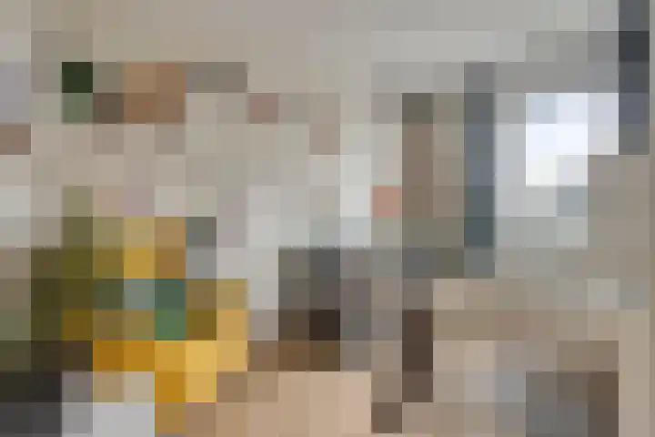 Lemoenappel 8 Lith thumbnail 19