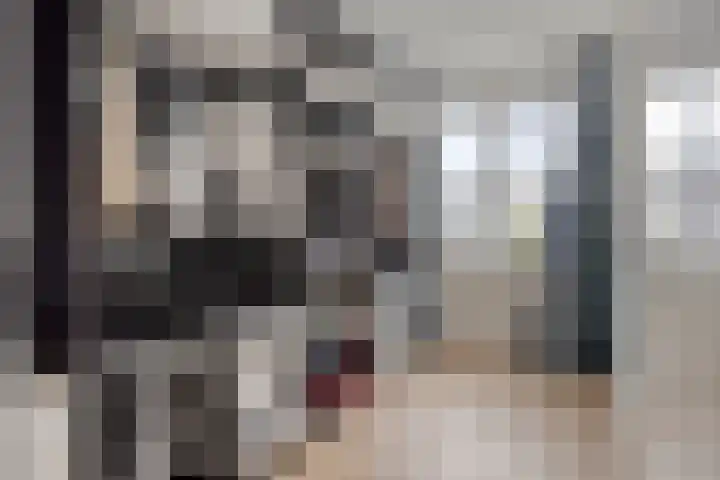 Lemoenappel 8 Lith thumbnail 20