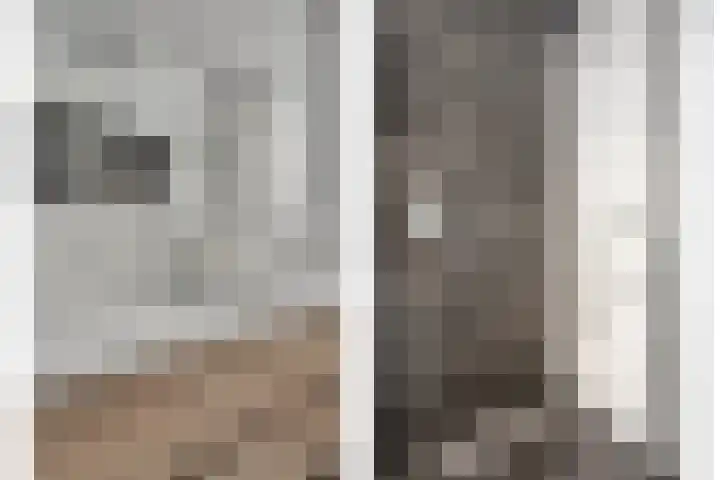 Lemoenappel 8 Lith thumbnail 22