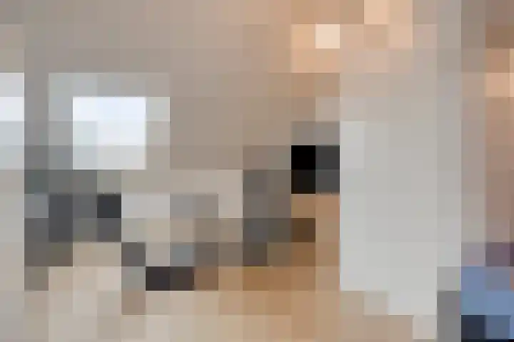 Lemoenappel 8 Lith thumbnail 25