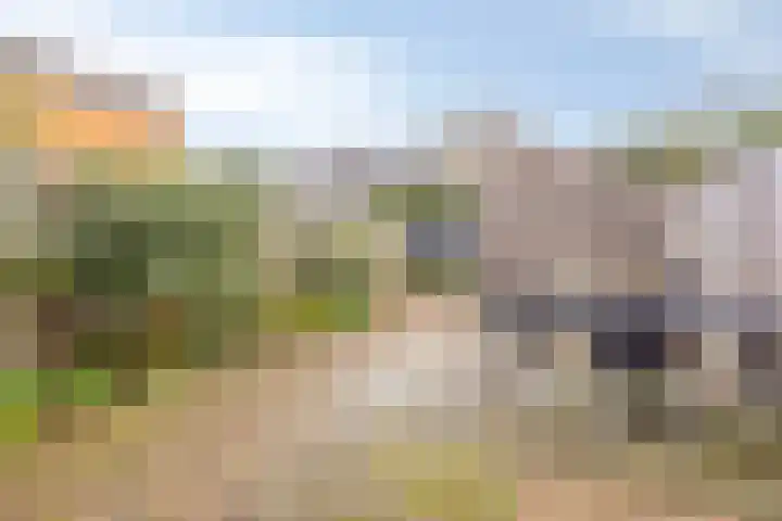 Lemoenappel 8 Lith thumbnail 27