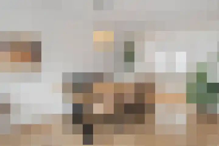 Lemoenappel 8 Lith thumbnail 28