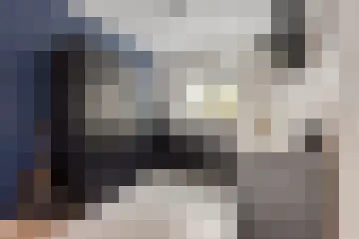 Lemoenappel 8 Lith foto 3