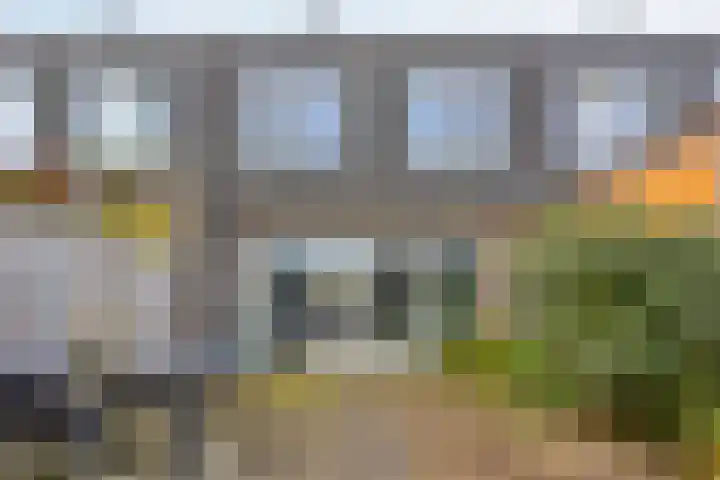 Lemoenappel 8 Lith thumbnail 31