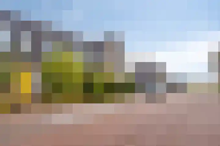 Lemoenappel 8 Lith thumbnail 32