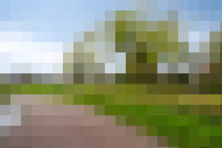 Lemoenappel 8 Lith thumbnail 33