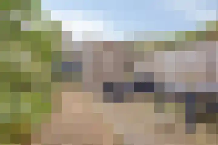 Lemoenappel 8 Lith thumbnail 5