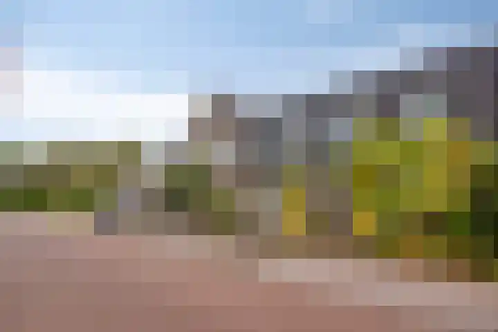 Lemoenappel 8 Lith thumbnail 6