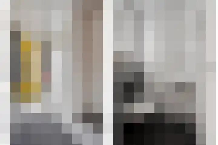 Lemoenappel 8 Lith thumbnail 7