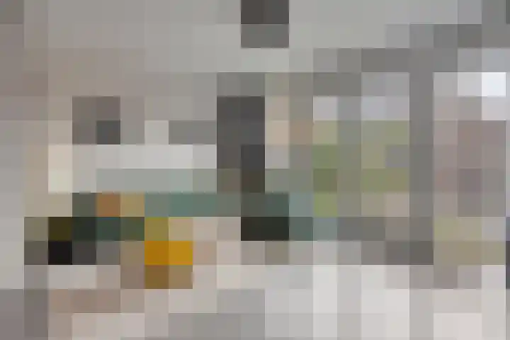Lemoenappel 8 Lith thumbnail 9