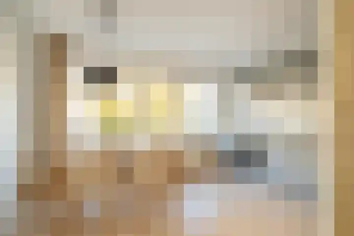 Lemselobrink 13 Enschede thumbnail 13