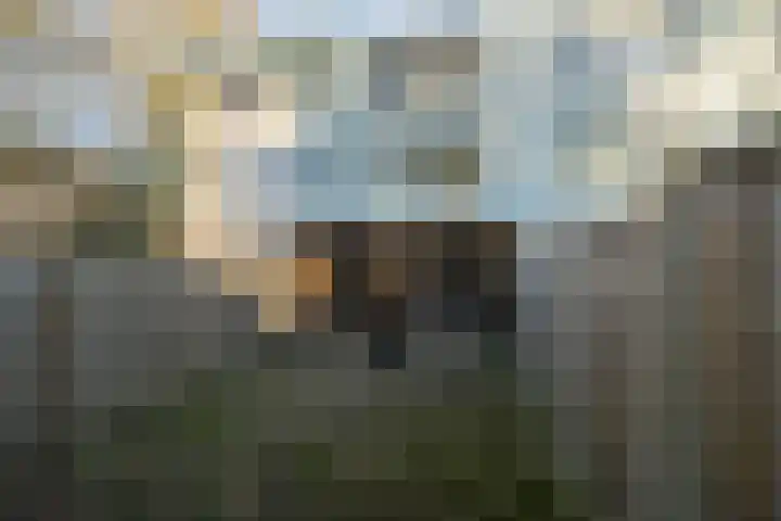 Lemselobrink 13 Enschede thumbnail 4
