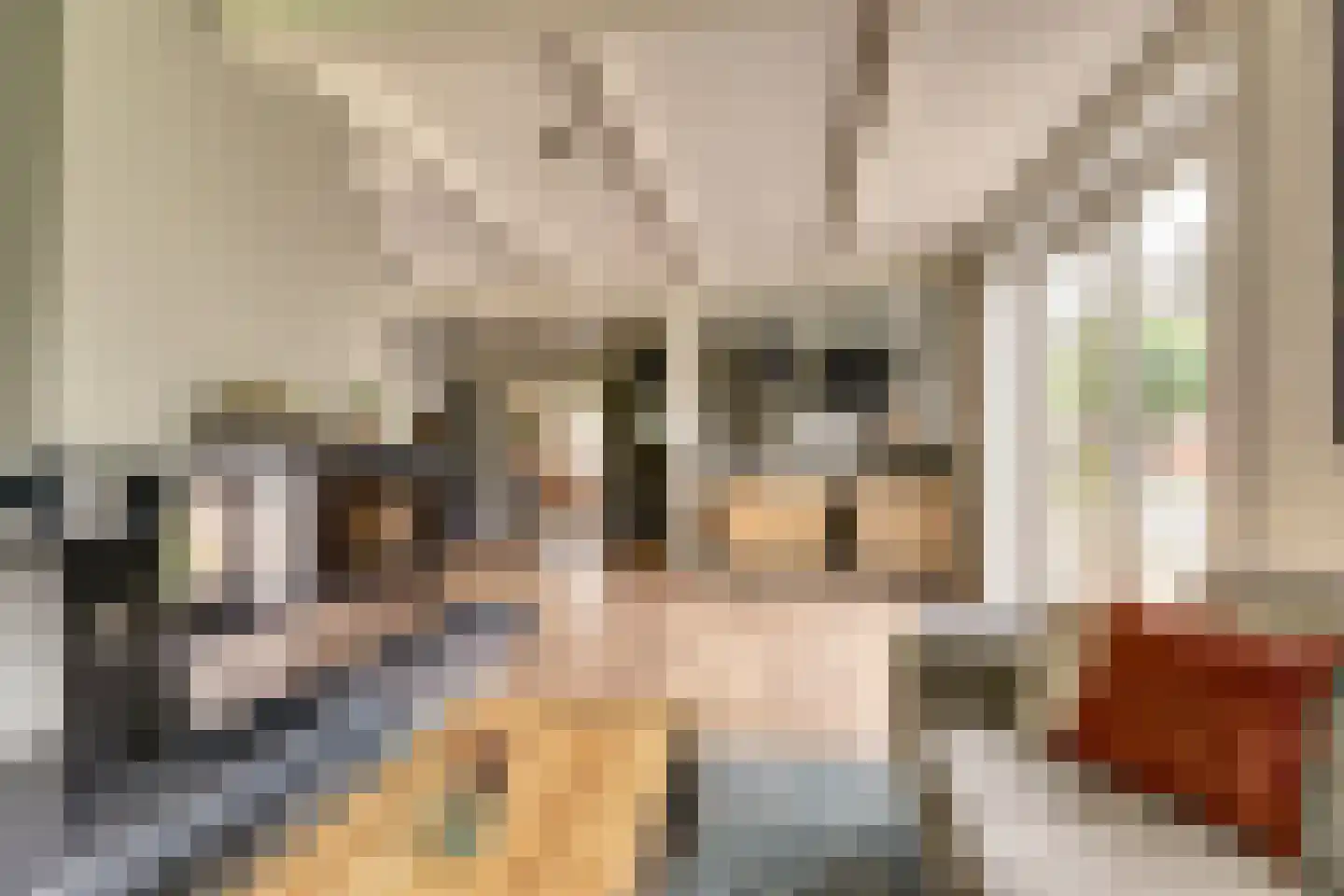Lemsterpad 7 Lemmer thumbnail 11