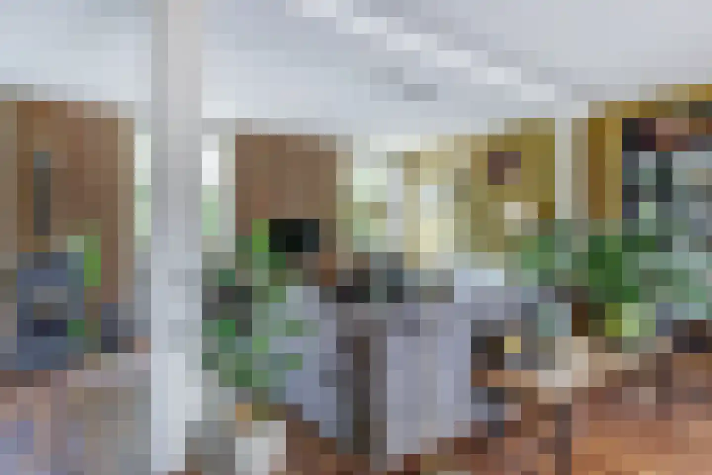 Lemsterpad 7 Lemmer thumbnail 34