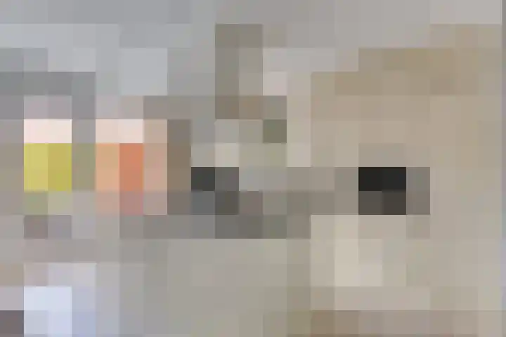 Lenastroom 29 Zoetermeer thumbnail 11