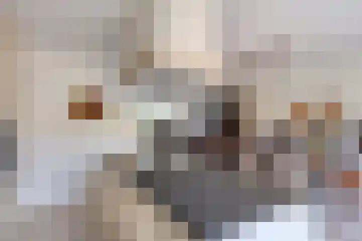 Lenastroom 29 Zoetermeer thumbnail 13