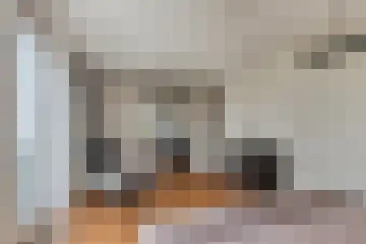Lenastroom 29 Zoetermeer thumbnail 22