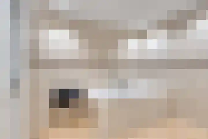 Lenastroom 29 Zoetermeer thumbnail 25