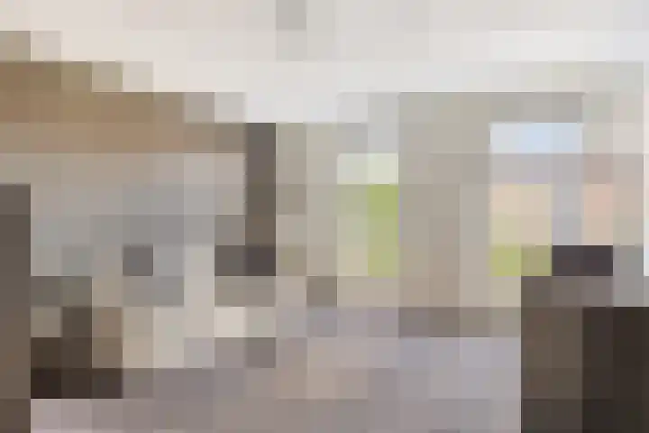 Lenastroom 29 Zoetermeer thumbnail 27