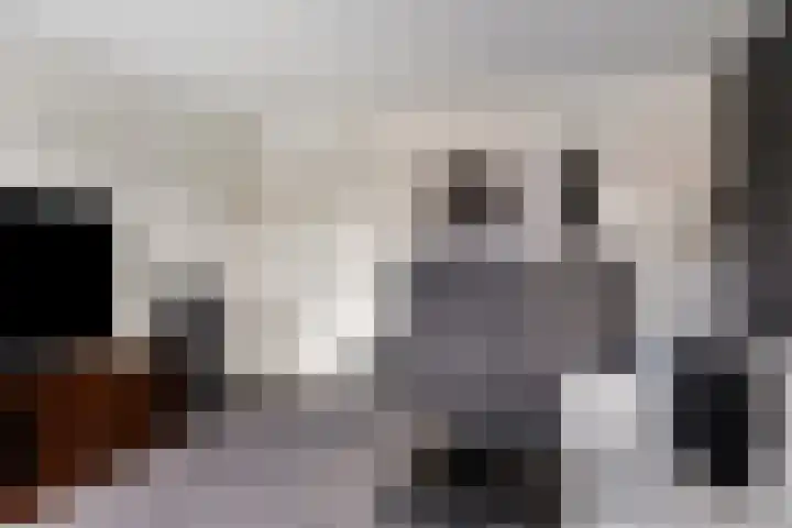 Lenastroom 29 Zoetermeer thumbnail 28