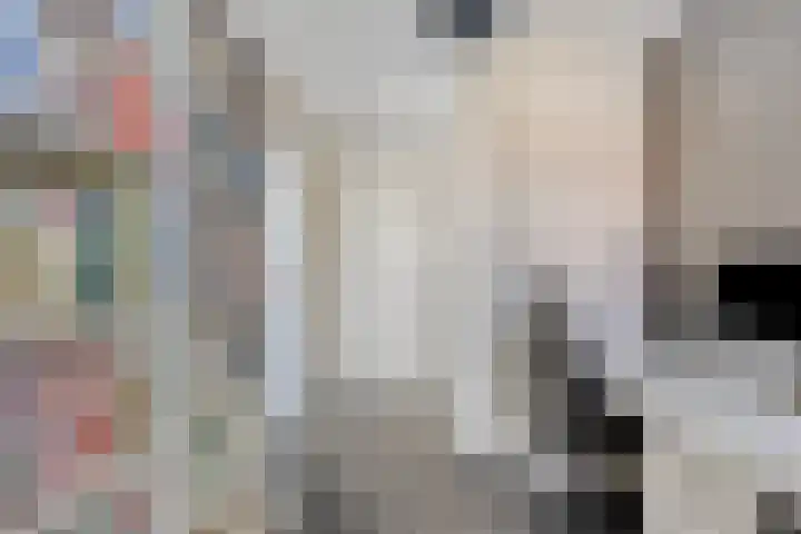 Lenastroom 29 Zoetermeer thumbnail 30