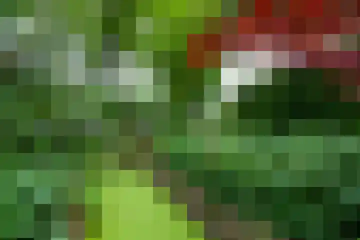 Lenastroom 29 Zoetermeer thumbnail 35