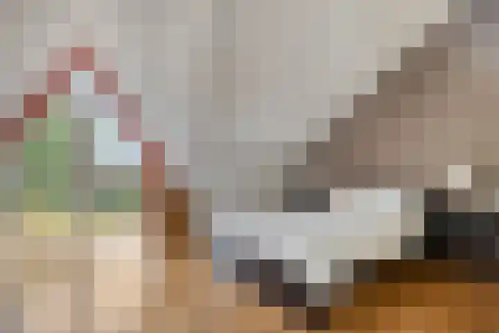 Lenastroom 29 Zoetermeer thumbnail 36
