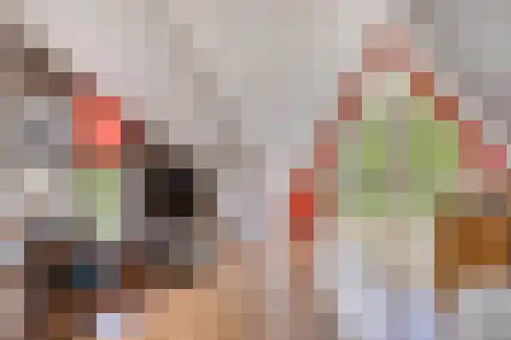Lenastroom 29 Zoetermeer thumbnail 37