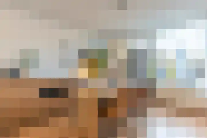Lenastroom 29 Zoetermeer thumbnail 41