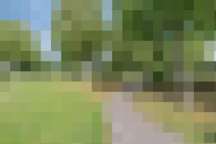 Lenastroom 29 Zoetermeer thumbnail 42