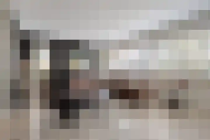 Lenastroom 29 Zoetermeer thumbnail 5