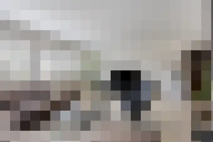 Lenastroom 29 Zoetermeer thumbnail 7