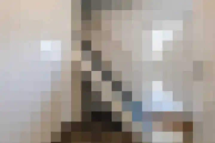 Lennondreef 33 Tilburg thumbnail 11