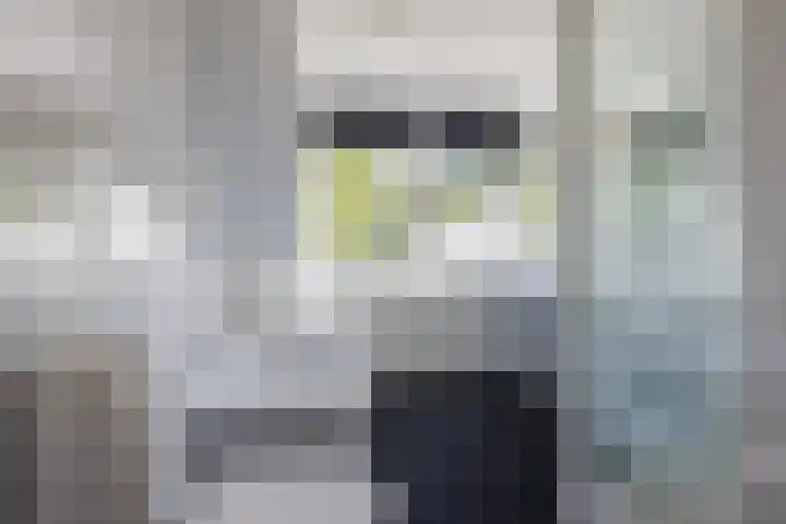 Lennondreef 33 Tilburg thumbnail 18
