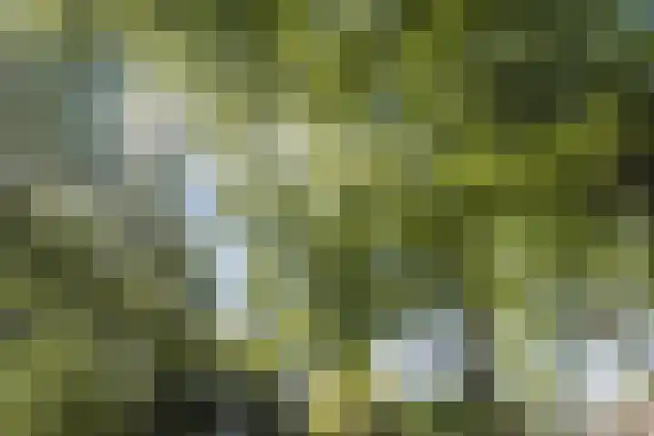 Lennondreef 33 Tilburg thumbnail 32