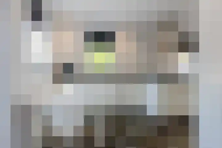 Lennondreef 33 Tilburg thumbnail 8
