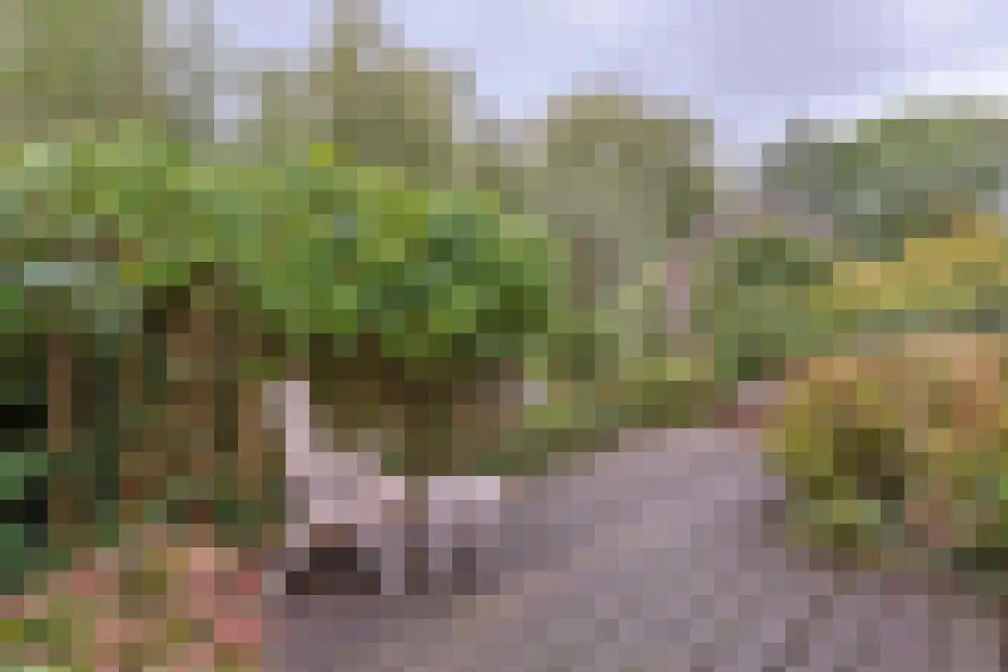 Lentekade 15 Leiderdorp thumbnail 32