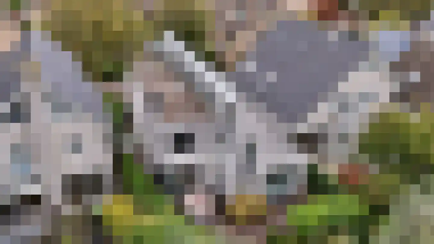 Lentekade 15 Leiderdorp thumbnail 35