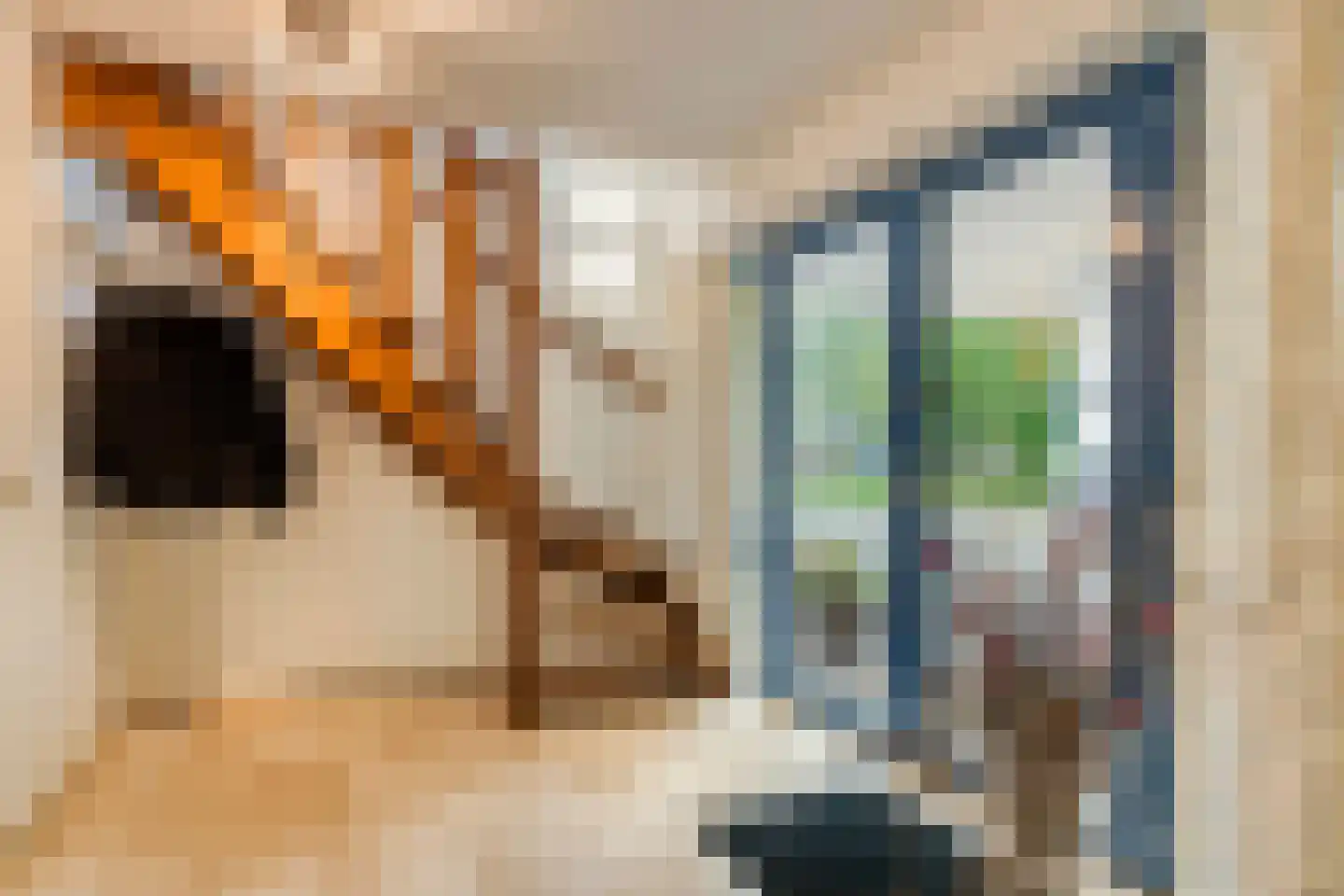 Lentemorgen 47 Uden thumbnail 15