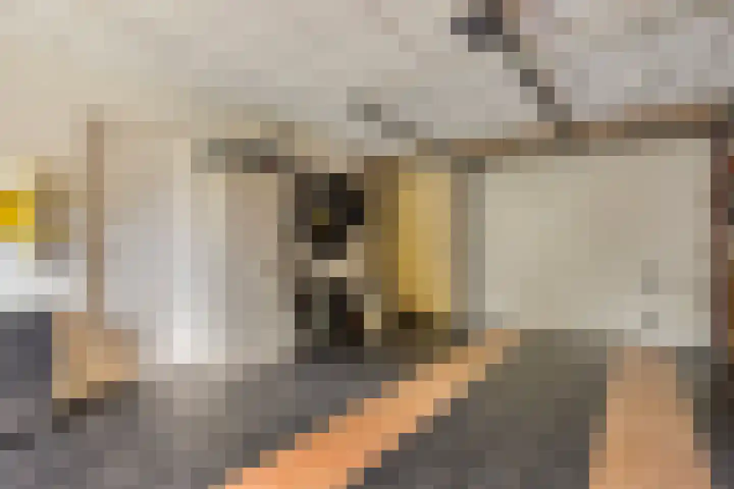 Lentemorgen 47 Uden thumbnail 30