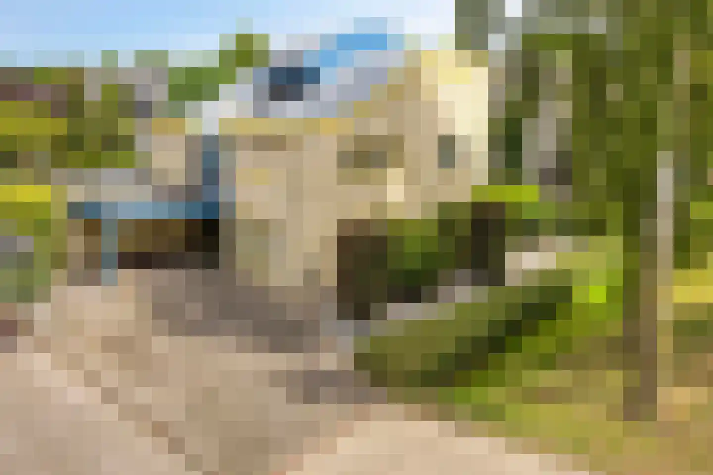 Lentemorgen 47 Uden thumbnail 35