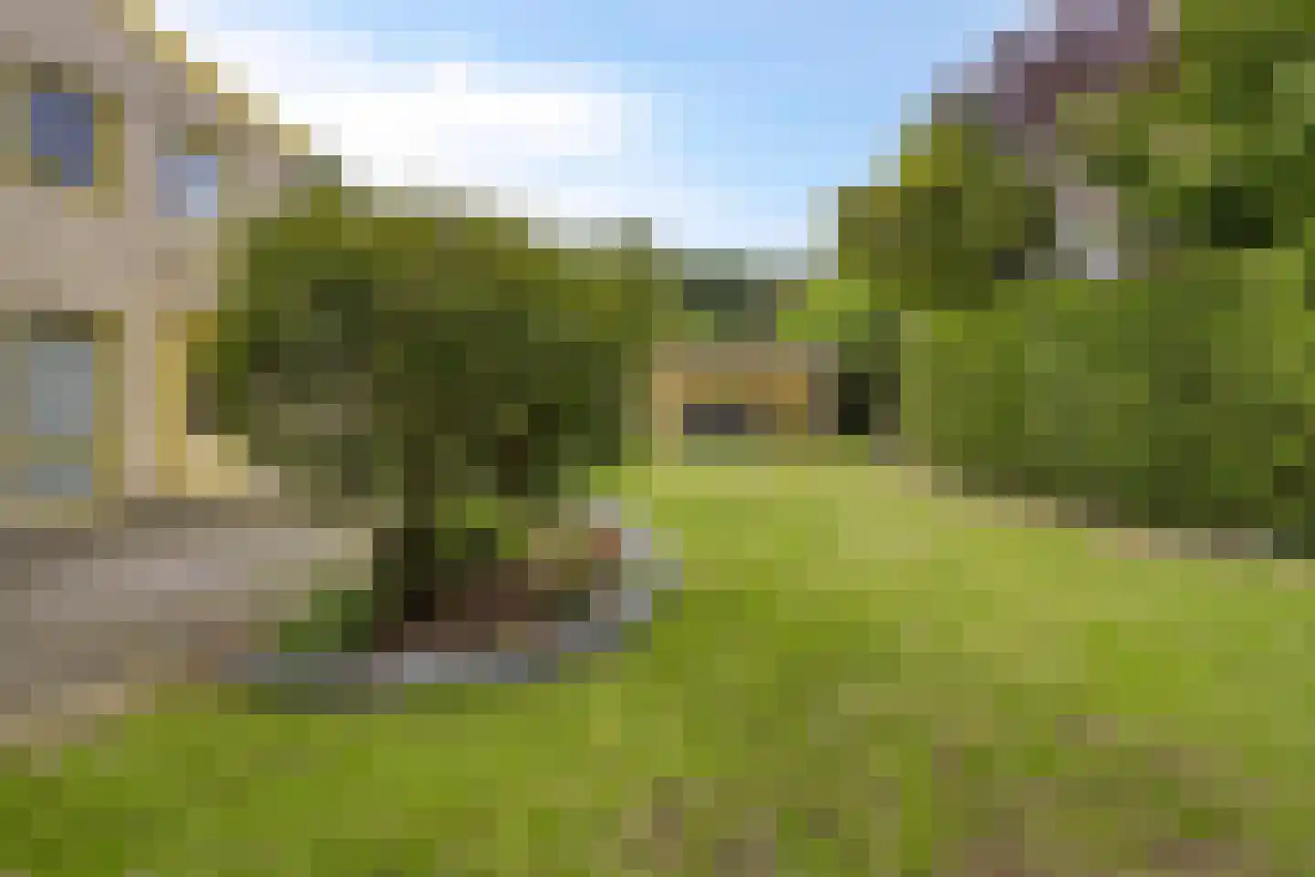 Lentemorgen 47 Uden thumbnail 42