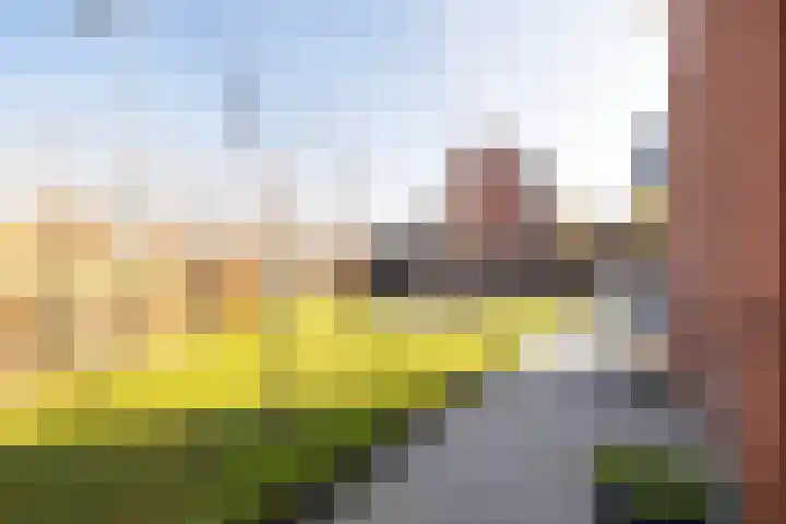 Lenteregen 24 Arnhem thumbnail 27