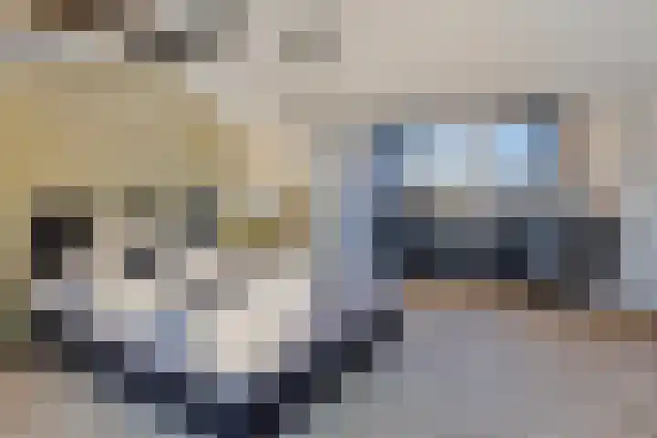 Leo Fallstraat 1 Waalwijk thumbnail 38