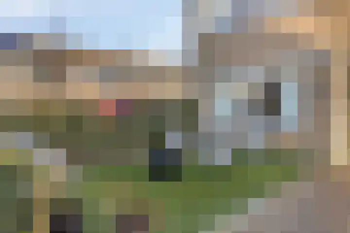 Leo Fallstraat 1 Waalwijk thumbnail 6