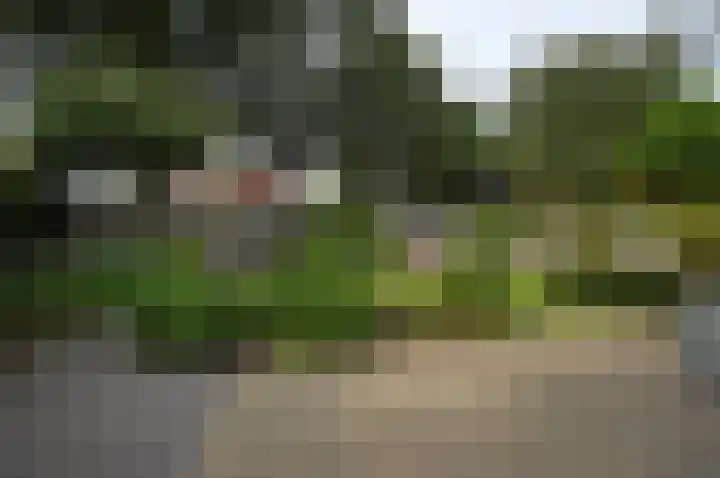 Leon van Kelpenaarstraat 23 Deurne thumbnail 32