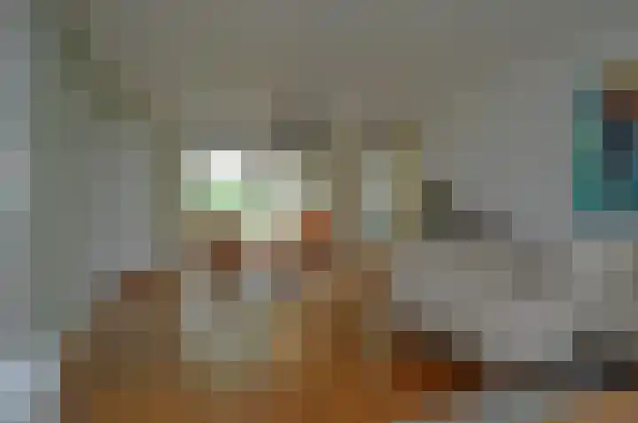 Leon van Kelpenaarstraat 23 Deurne thumbnail 6