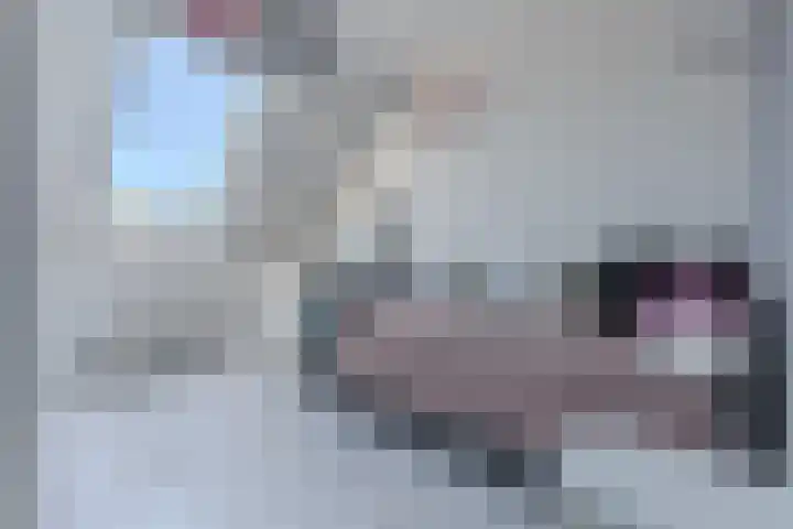Leonard Bernsteinstraat 36 Zaandijk thumbnail 14