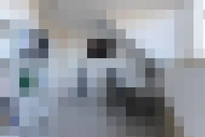 Leonard Bernsteinstraat 36 Zaandijk thumbnail 24