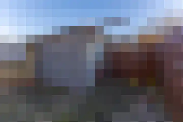 Leonard Bernsteinstraat 36 Zaandijk thumbnail 29